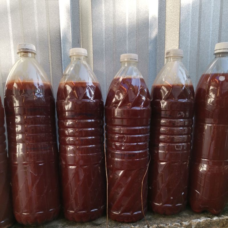 หัวเชื้อจ้า​ อย่างเข้มข้น​ จุลินทรีย์​สังเคราะห์แสงสูตรเข้มข้น​ เข้มสุดๆ​ ไม่ใสไม่จางนะคะ เอาไปขยายต่อได้แบเห็นผลไวเลย