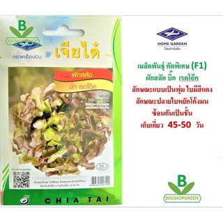 5 ฟรี 1 คละได้ เมล็ดพันธุ์ ผักสลัด  บิ๊ก เรดโอ๊ค ตราเจียไต๋  เมล็ดพันธุ์คัดพิเศษ F1  เมล็ดผัก เมล็ดพันธุ์พืช