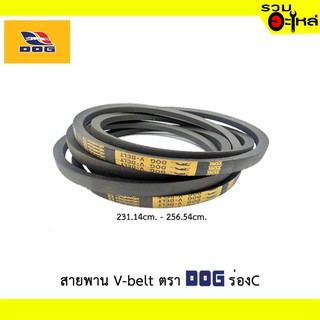 สายพาน V-belt DOG(ตราหมา)ร่องC ความกว้าง 22mm. ความยาว 91-101นิ้ว  (231.14cm.-256.54cm.)