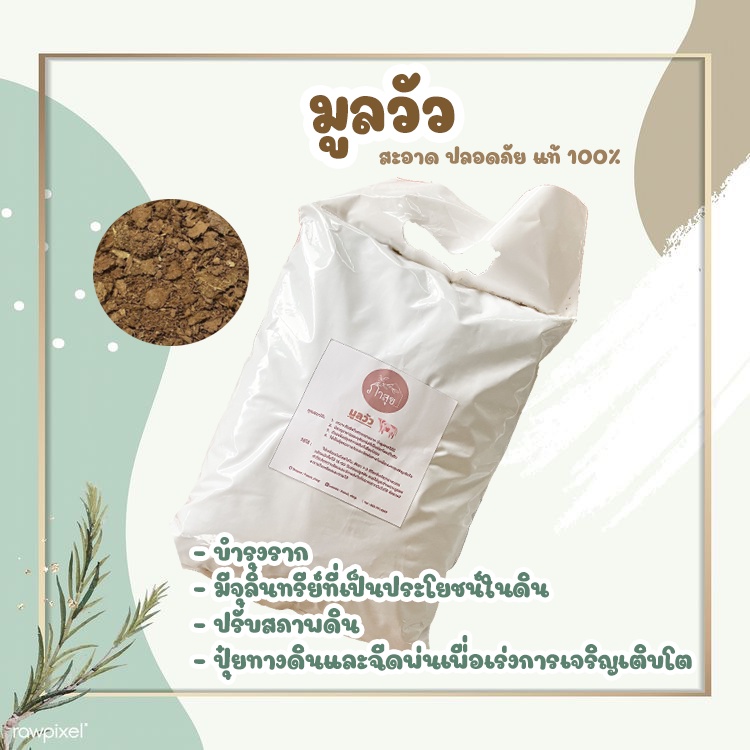 🐄 มูลวัว ขี้วัวนมตากแห้ง 700g. 🐄 บำรุงต้นไม้ เลี้ยงไส้เดือน ปรับดิน ทำปุ๋ยคอก