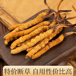 ทิเบต那曲 Cordyceps เย็นแห้งหักหญ้าผู้สูงอายุกล่องปรุงอาหารจำนวนมาก M4GJ