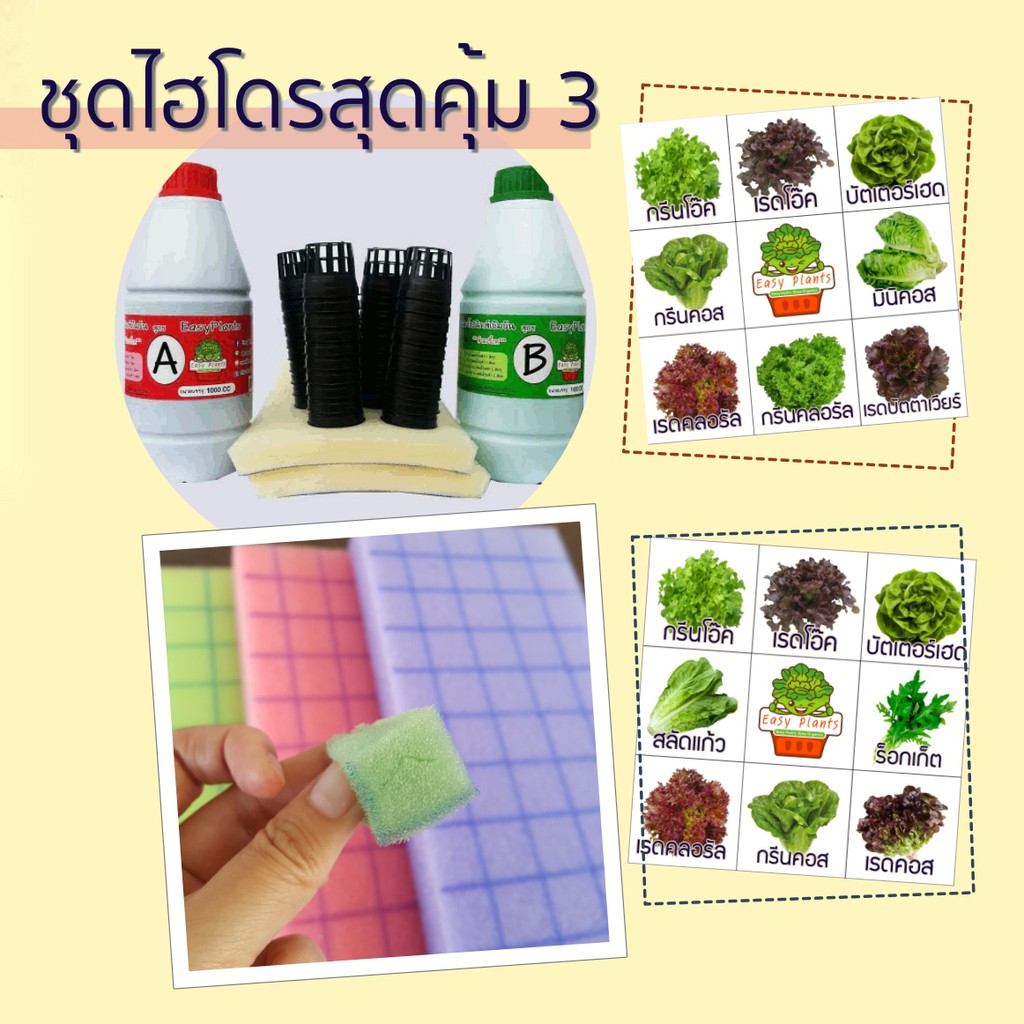 Best saller ชุดปลูกผัก สลัด ไฮโดรโปนิกส์ DIY สุดคุ้ม (Kit ใหญ่ Plus) เมล็ดฟ้าทะลายโจร เมล็ดแคนตัส เมล็ดผัก เมล็ดพืช กล้วยไม้