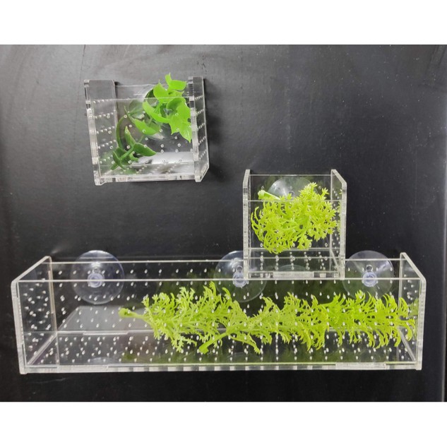 กล่องกุ้ง/ถาดปลูกพืชน้ําอะคริลิคขนาดเล็กพร้อมยางคุณภาพสูง