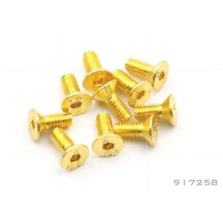 S-917258-GD น็อตทองเตเปอร์ ขนาด M2.5*8mm
