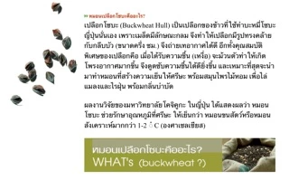 ⭐️หมอนโซบะญี่ปุ่น M รองรับเยี่ยม หายปวดคอปวดหลัง ลดกรน ระบายอากาศดีที่สุด ✨มีโปรซื้อ 2 แถม 1S