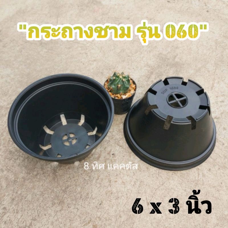 // กระถาง 6 นิ้ว // รุ่น 060 ทรงถ้วย // พลาสติก แคคตัส กระบองเพชร
