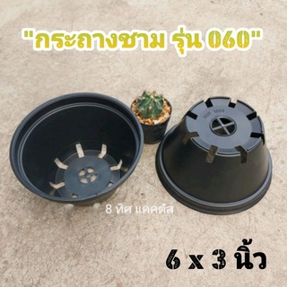 กระถาง กลม 060 ทรงถ้วย // กด 12 ใบ 100 บาท -- กระถาง 6 นิ้ว -- กระถางพลาสติก แคคตัส กระบองเพชร