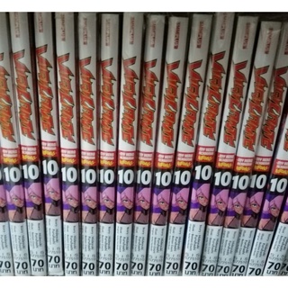 Vigilanteมีตั้งแต่เล่ม  1-10