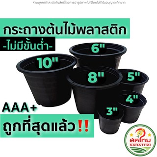 🌄ถูกที่สุดแล้ว▶ กระถางต้นไม้ กระถางต้นไม้พลาสติก (ขั้นต่ำ 5 ใบ) 3/4/5/6/8/10นิ้ว ถาดรองกระถางต้นไม้