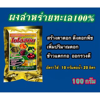 ไบโอจินิน #ผงส่หร่ายทะเล #ไซโตไคนิน สร้างตาดอก 100 กรัม