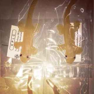 จิ้งจกปลอม​ จิ้งจกยาง (6ตัว) ของเล่นแมว ของเล่นแกล้งคน Lizard จิ้งจก ตุ๊กแก