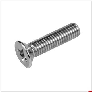 สกรูหัวแฉก สแตนเลส 316 / Cross slotted countersunk head screw 5x30 mm Inox 316 DIN 965 / ISO 7046