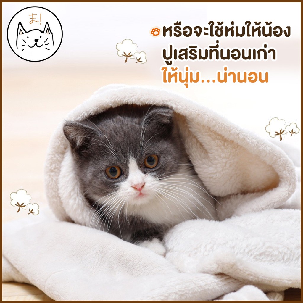 KUMAま ผ้าห่มกำมะหยี่ L/XL ผ้าห่มสัตว์เลี้ยง ผ้ารองนอน สุนัข แมว ที่นอนสุนัข ที่นอนแมว (คละสี)