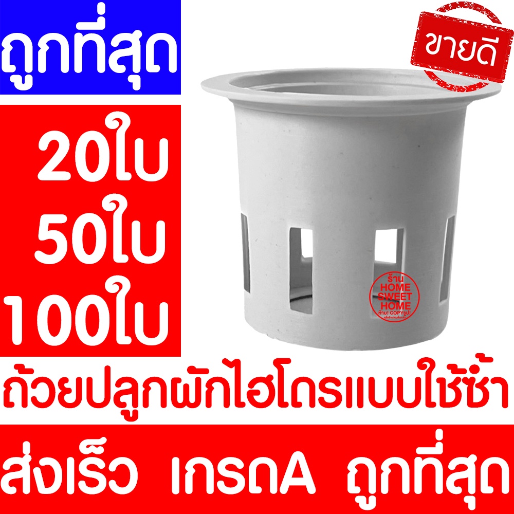 *clearance* ถ้วยปลูกผัก 20/50/100ใบ ถ้วยขาวปลูกผัก ไฮโดรโปนิกส์ ผักไฮโดร hydroponic hydro ส่งไวมาก ใช้ซ้ำได้ ค่าส่งถูก