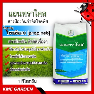 🦠โรคพืช🦠 แอนทราโคล 1 กิโลกรัม โพรพิเนบ สารป้องกัน กำจัดรา พืชคุณภาพสูง เชื้อรา สารป้องกัน กำจัดเชื้อรา