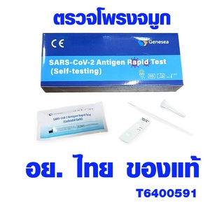 ชุดตรวจโควิด 19 ATK เเยงจมูก Genesea แม่นยำ 100% อย.ไทย Antigen Rapid Test ชุดตรวจเอทีเค อย่างดี ของแท้