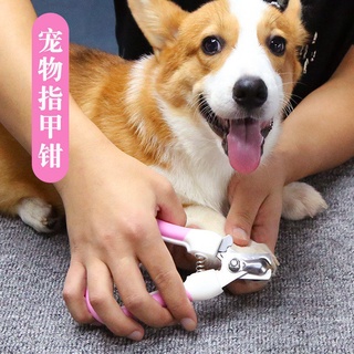 กรรไกรตัดเล็บพร้อมตะไบ เล็ก-ใหญ่ **สินค้าพร้อมส่ง**