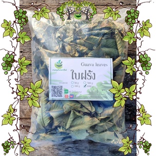 ชาใบฝรั่งอบแห้ง ชาสมุนไพร สมุนไพรอบแห้ง100%  บรรจุ 1000 กรัม (Dried Guava Leaves)