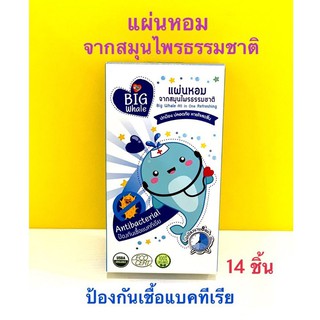 แผ่นหอม สมุนไพร ออแกนิคลดไข้ Big Whale (14ชิ้น) ไล่หวัด ต้านเชื้อแบคทีเรีย