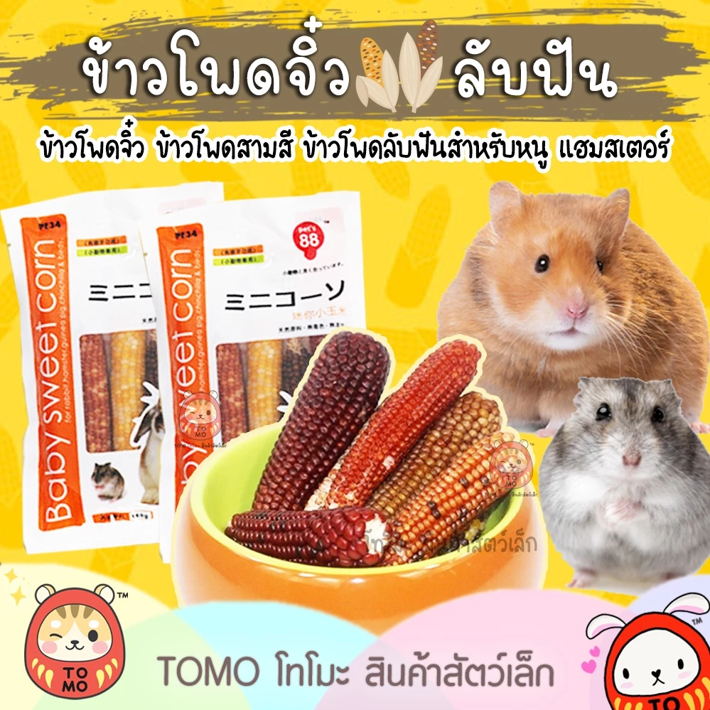ร้านโทโมะ 💕(ขั้นต่ำ 50บ.) ข้าวโพดจิ๋ว ข้าวโพดหวาน ข้าวโพดมินิ ลับฟัน สำหรับแฮมสเตอร์