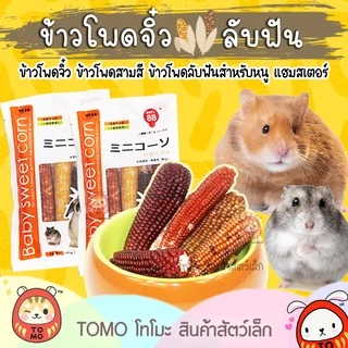 ร้านโทโมะ 💕(ขั้นต่ำ 50บ.) ข้าวโพดจิ๋ว ข้าวโพดหวาน ข้าวโพดมินิ ลับฟัน สำหรับแฮมสเตอร์