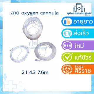 สายออกซิเจน Oxygen Cannula สายออกซิเจนผู้ป่วย สายออกซิเจนทางจมูก