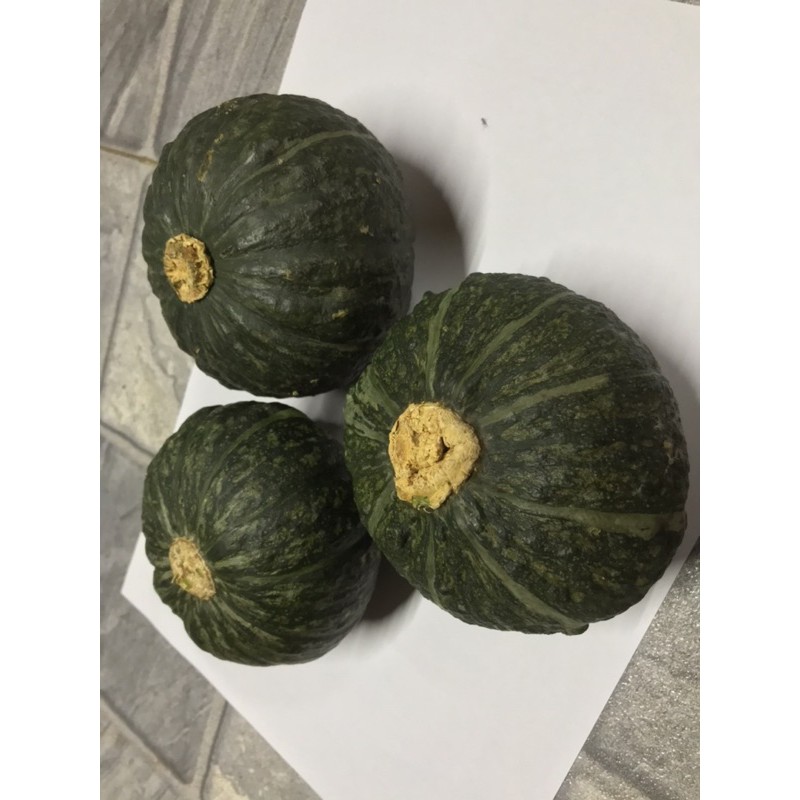 ฟักทองญี่ปุ่น มินิบอล สดๆจากเชียงใหม่ ขายเป็นกิโล - รูปที่ 2