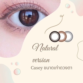 Angelzone คอนแทคเลนส์ รุ่น Casey 14.2