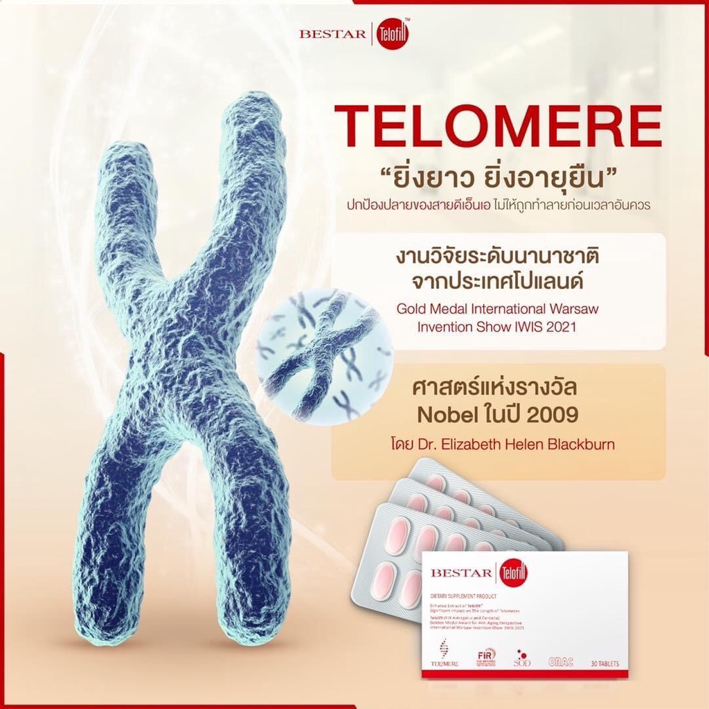 Bestar Telofill | บีสตาร์ เทโลฟิลล์ - ต้านอนุมูลอิสระ สร้างภูมิคุ้มกันที่ได้รับรางวัลนานาชาติจากประเ