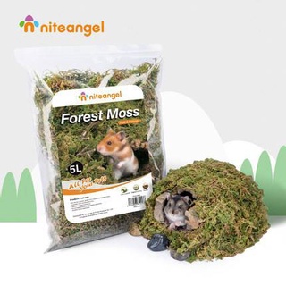 Niteangel หญ้า มอส แห้ง moss ป่ามอสสำหรับหนูแฮมสเตอร์ ทำรัง จัดสวนแนวธรรมชาติ