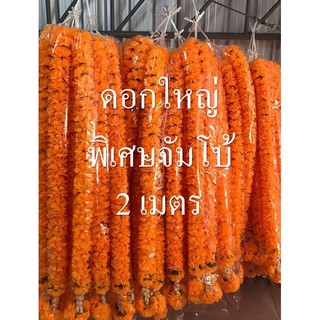 พวงมาลัยดอกดาวเรือง ดอกใหญ่พิเศษจัมโบ้ ขนาดยาว 2 เมตร