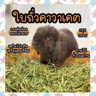 🥬🥜ใบถั่วคาวาเคต🥜🥬 อบแห้งพิเศษสำหรับสัตว์ฟันแทะ กระต่าย แกสบี้ หนูตะเภา ชินชิล่า แพรรี่ด๊อค