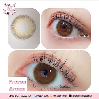 คอนแทคเลนส์รายเดือน รุ่น Frozen brown bylensland