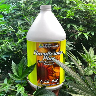 Floralicious Plus (Aroma) by General Hydroponics