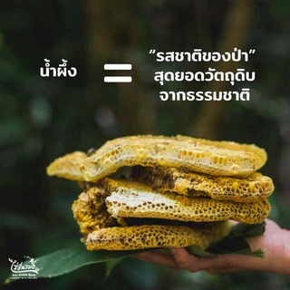 ไร่รื่นรมย์ น้ำผึ้งโพรงป่า 5 รสชาติ 5 สไตล์
