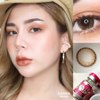 คอนแทคเลนส์ Wink Canna Gray // Brown