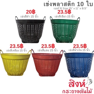 เข่งปลูกต้นไม้ (เบอร์6) 15 นิ้ว 10 ใบ