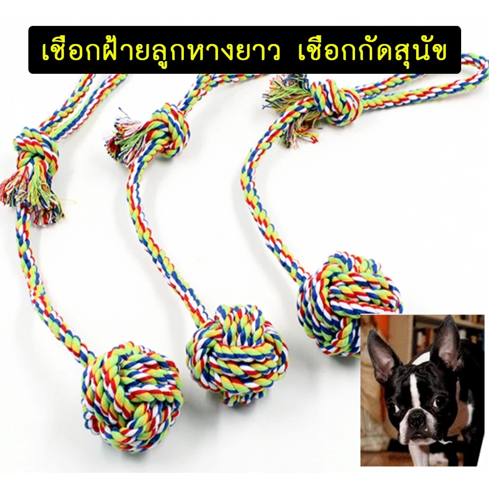 AL-173 เชือกกัดสุนัข ของเล่นสุนัข ของเล่นหมา ของเล่นแมว สีสันสดใส เคี้ยวมัน Dog Chewing Rope 🔥 พร้อมส่ง 🔥