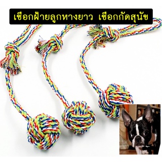 AL-173 เชือกกัดสุนัข ของเล่นสุนัข ของเล่นหมา ของเล่นแมว สีสันสดใส เคี้ยวมัน  Dog Chewing Rope 🔥 พร้อมส่ง 🔥