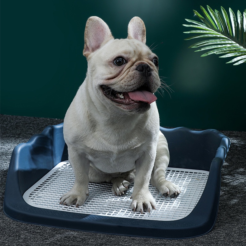 รูปภาพ 5