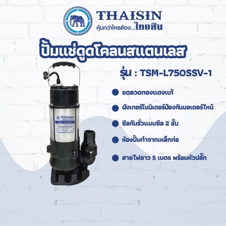 ปั๊มแช่สแตนเลส ขนาด 1 แรง กำลังไฟ 750 วัตต์ ท่อ 2 นิ้ว THAISIN TSM-L750SSV-1