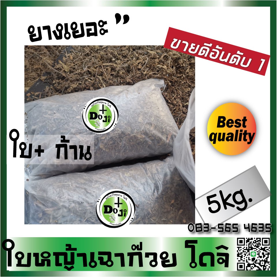 +สิ น ค้ า H o t!! หญ้าเฉาก๊วย โดจิ​ เ​กร​ดAของแท้ ใบเฉาก๊วยผสมก้าน ห่อใหญ่ 5กก. ยางดี เข้มข้น ที่สุด