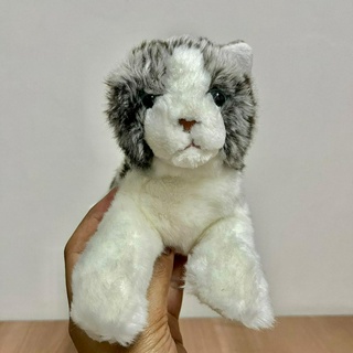 ตุ๊กตาแมว แมวสีเทา แมวเทา  Cat แมว Cat Plush Stuffed Animal Toy cat ตุ๊กตาแมว ตุ๊กตาสัตว์ ทาสแมว แมว Cat