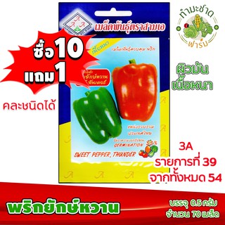 (ซื้อ10แถม1) เมล็ดพันธุ์ พริกยักษ์หวาน Sweet Pepper ประมาณ 100เมล็ด 3A สามเอ ผักสวนครัว เมล็ดพันธุ์พืช เมล็ดผัก เม็ดผัก