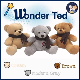 WONDER TED ตุ๊กตาหมีป้องกันคลื่นแม่เหล็กไฟฟ้าและสัญญาณอิเล็กทรอนิกส์