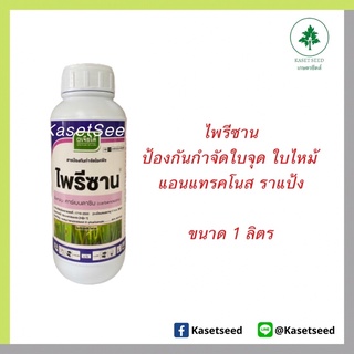 ไพรีซาน เจียไต๋ คาร์เบนดาซิม ราแป้ง ใบจุด ใบไหม้ แอนแทรคโนส คาเบนดาซิม 1ลิตร