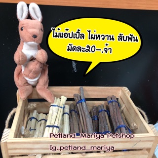 ไม้ลับฟัน ชูก้า กระรอก แฮมสเตอร์ ลิงมาโมเสท สำหรับสัตว์ฟันแทะทุกชนิด