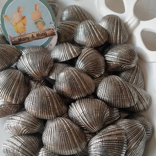 กระดุม เรโทร พลาสติค ทรง Scallop สีโลหะ ขนาด 29 มิล ราคา 1 เม็ด 10 บาท / กระดุม กระดุมพลาสติค กระดุมเรโทร กระดุมวินเทจ