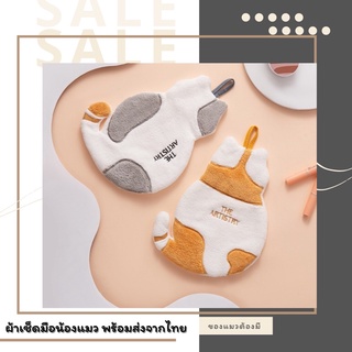 [พร้อมส่ง]🐈ผ้าเช็ดมือ ผ้าเช็ดจาน🍽 ผ้าเช็ดมือแมว ผ้าเช็ดมือลายแมวน่ารักน่าใช้💕