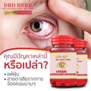 เซ็ท 3 กระปุก แถมยาหม่องสมุนไพร 1 สาหร่ายแดง DRD HERB จบทุกปัญหาดวงตา ตามัว มองไม่ชัด คัน น้ำตาไหล ตาล้า ระคายเคือง ต้อ